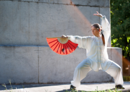 Tai Chi Chuan Arezzo - entro Studi La Fenice